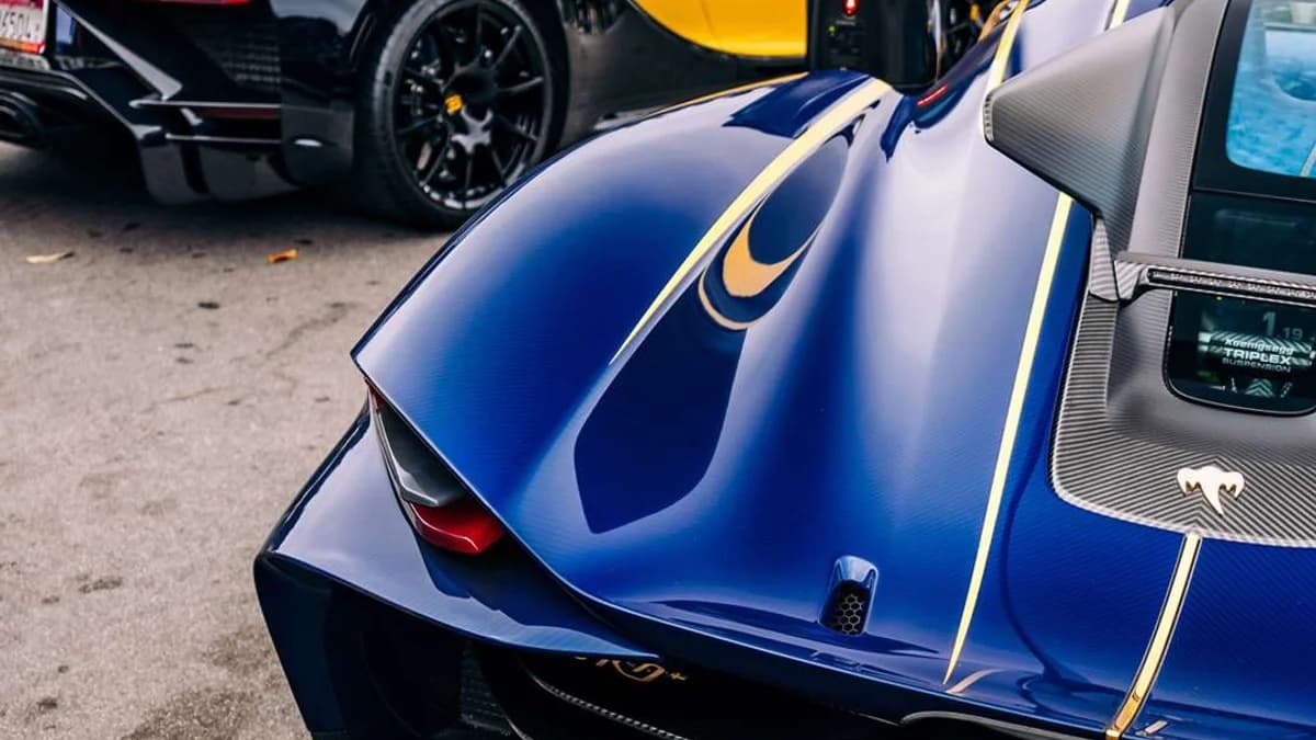 Exotics on Broadway